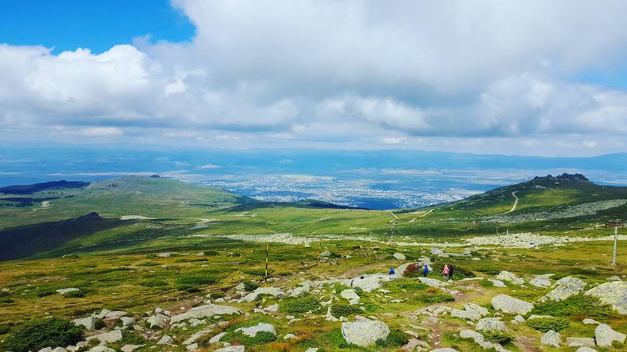 Витоша пейзаж