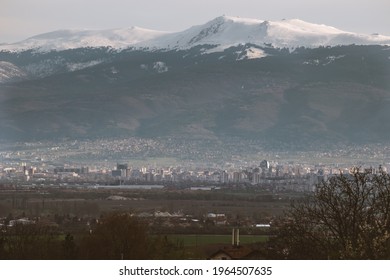 Витоша детайл